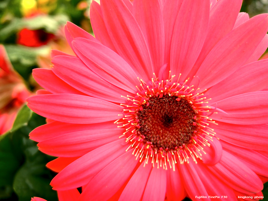 DSCF1608.JPG