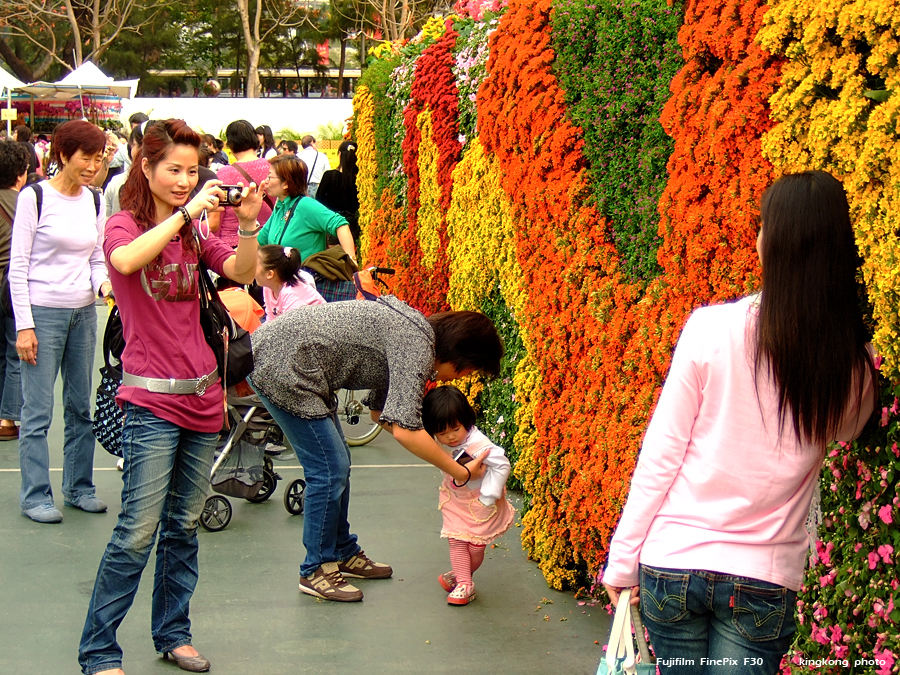 DSCF1616.JPG