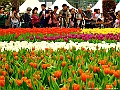 DSCF1544