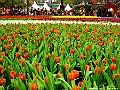 DSCF1546