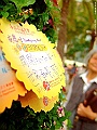 DSCF1547