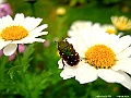 DSCF1562