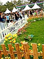 DSCF1582
