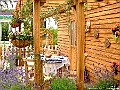 DSCF1586