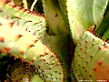 DSCF1601