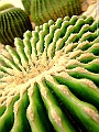 DSCF1604
