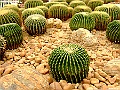 DSCF1605