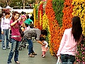DSCF1616