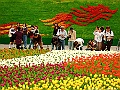 DSCF1624