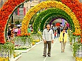 DSCF1635