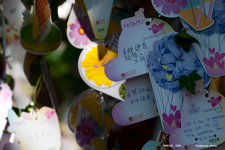 DSC_6112.jpg - HONGKONG FLOWER SHOW 2012