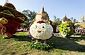 _DSC1614