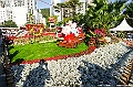 _DSC1616