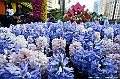 _DSC1620