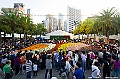 _DSC1622