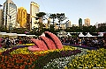 _DSC1626
