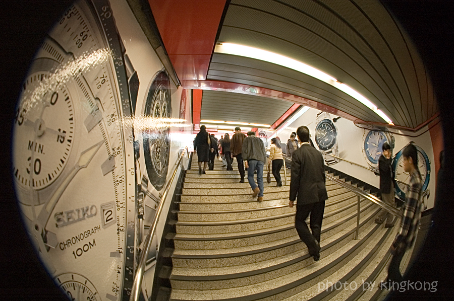 _DSC7516.jpg - MTR