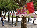 DSCF5133