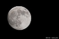_DSC9191