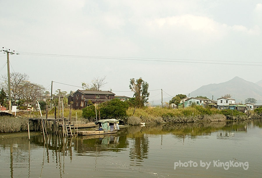 _DSC3075.jpg - 南生圍