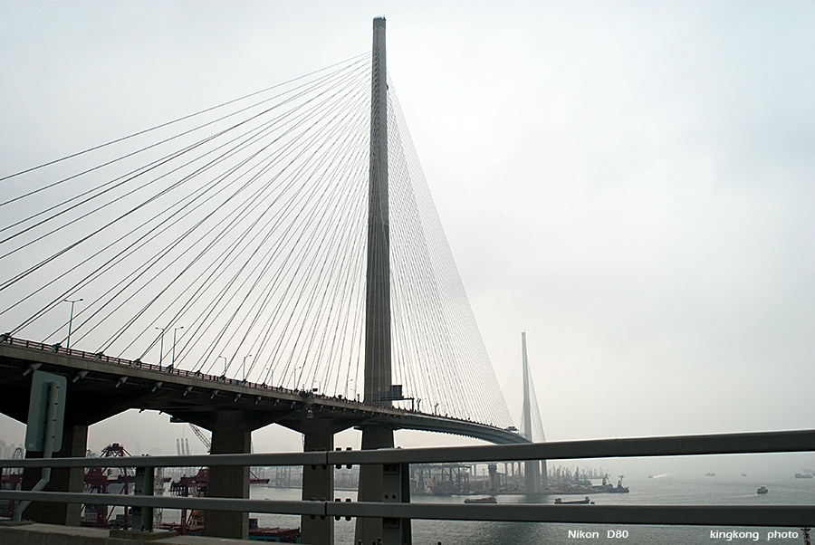 DSC_2224.JPG