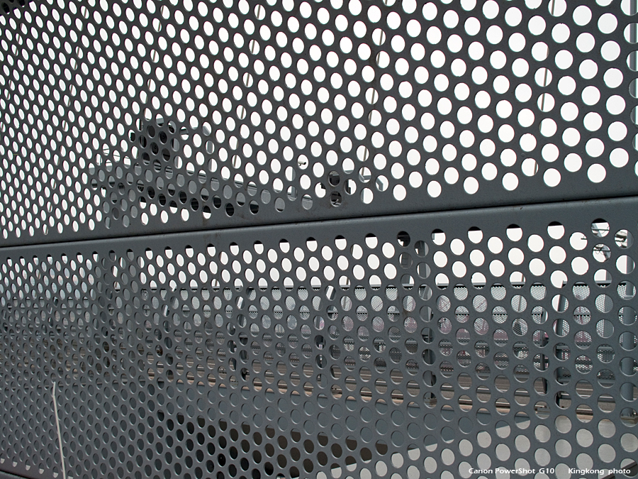 IMG_6662.JPG