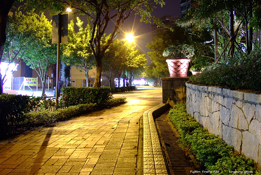 DSCF1761.JPG - Night Shot