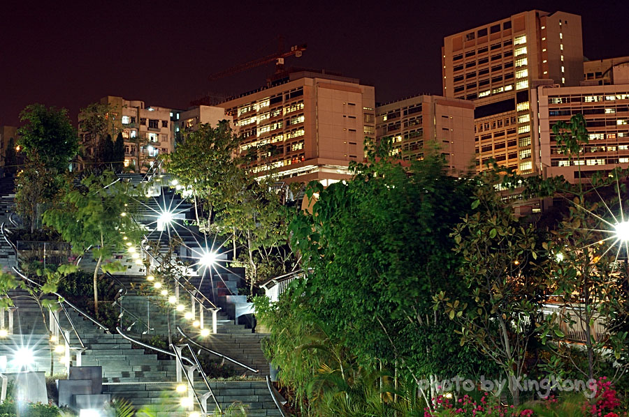 DSC_6651.jpg - Night Shot