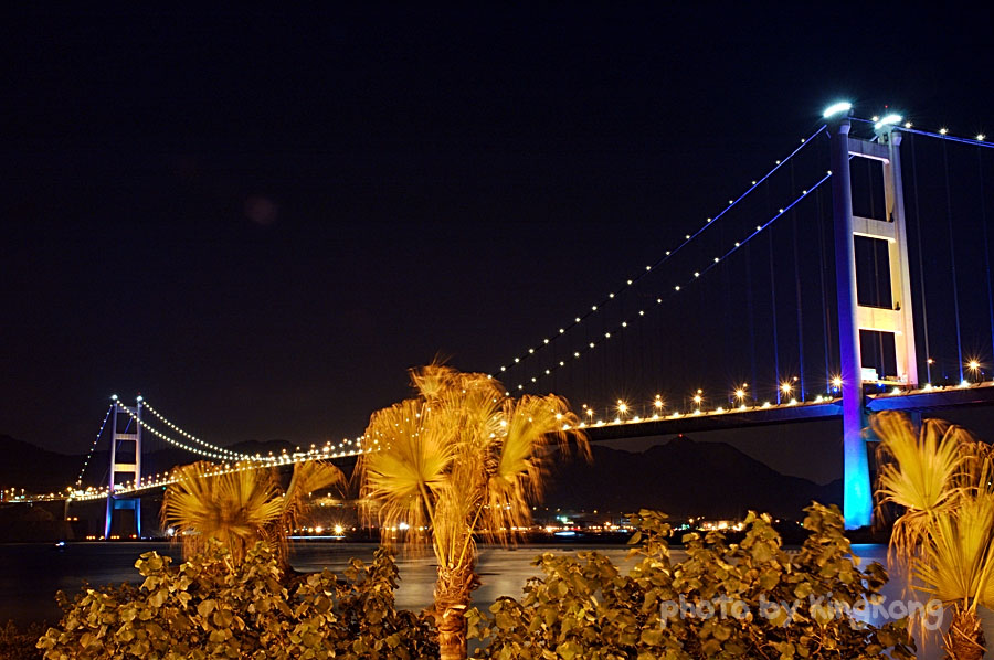 DSC_6696.jpg - Night Shot