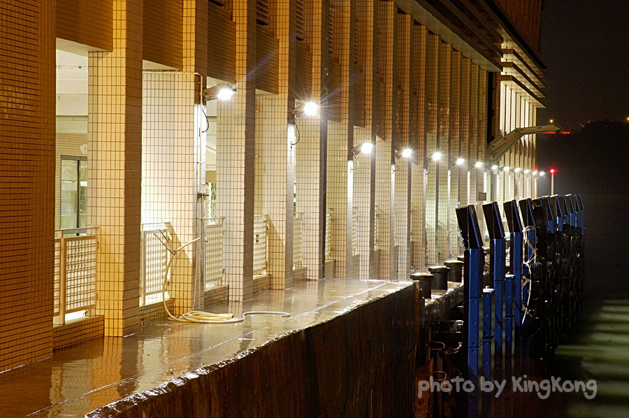 _DSC0830.jpg - Night Shot