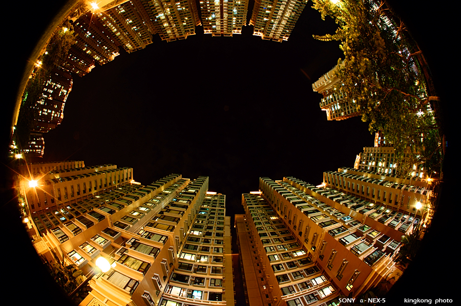 _DSC1042.JPG - SONY DSC