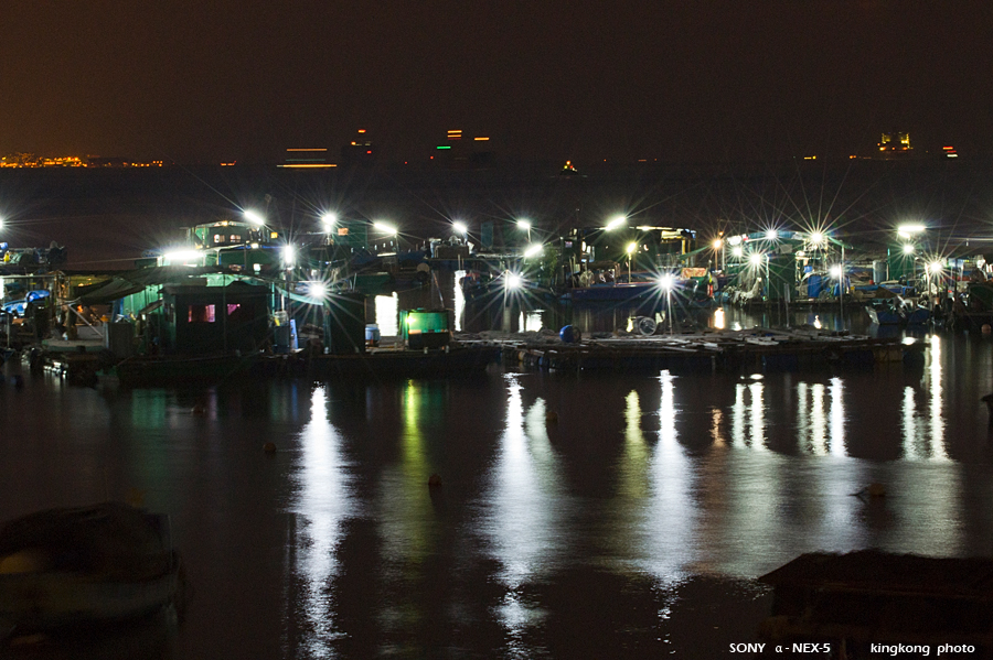 _DSC1649.jpg - SONY DSC