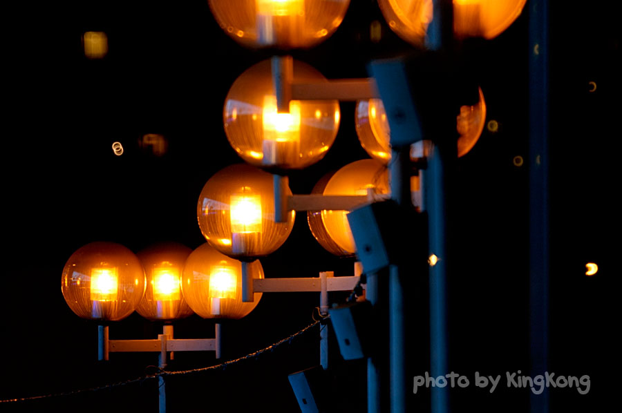 _DSC2883.jpg - Night Shot