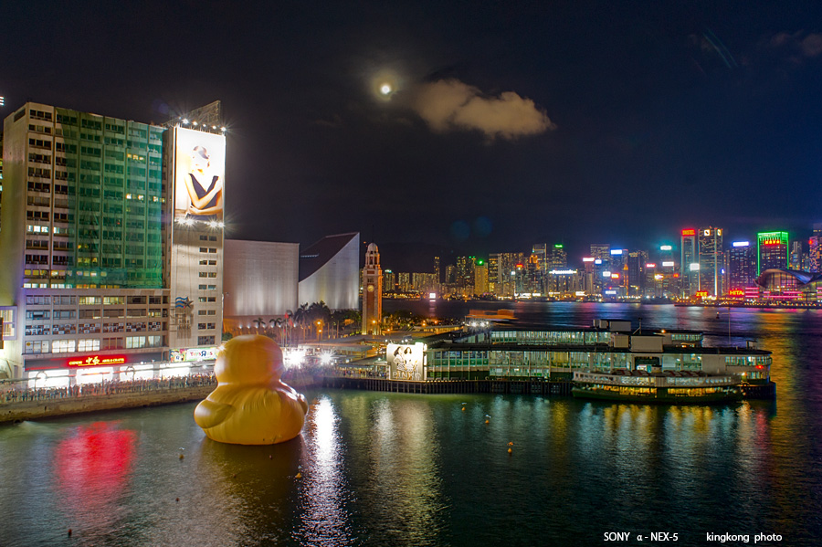 _DSC6285.jpg - SONY DSC