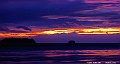 DSCF0875