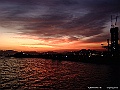 DSCF1557