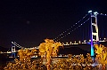 DSC_6696