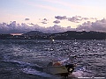 IMG_0351