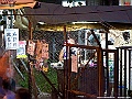 IMG_5381