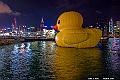 _DSC6310