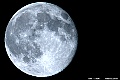 _DSC9328