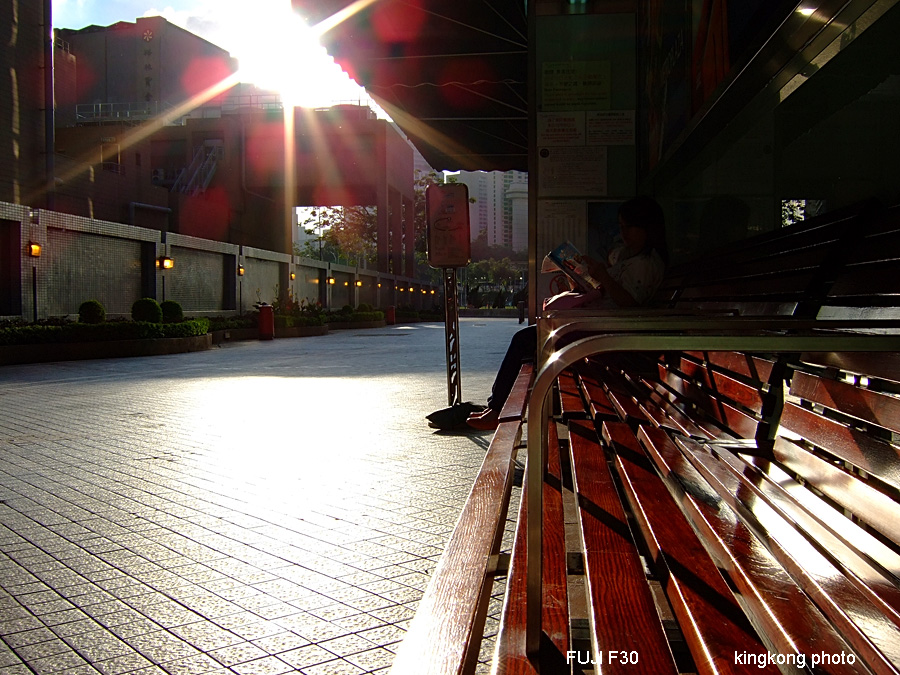 DSCF0521.JPG - 癑홎庘
