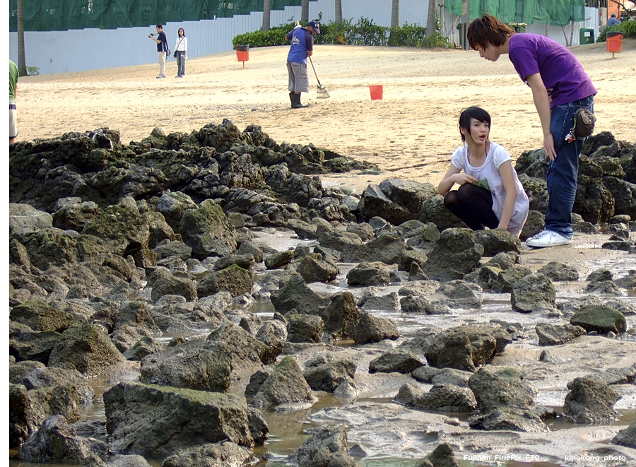 DSCF2438.jpg