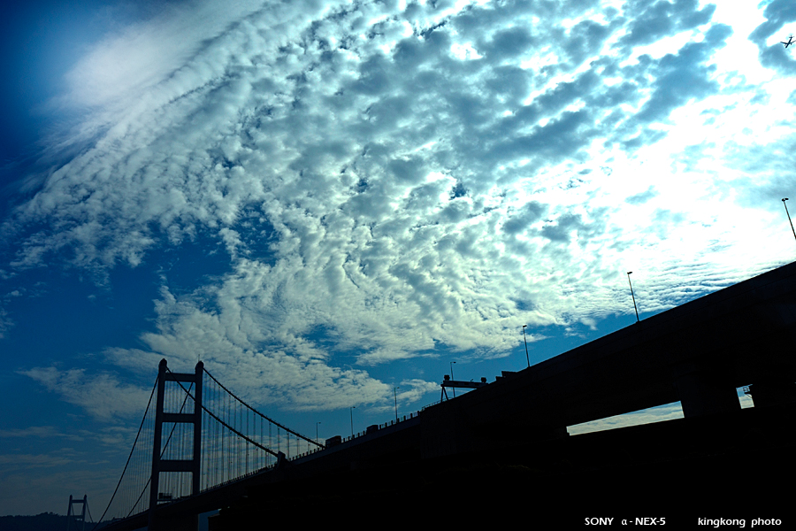 _DSC6043.jpg - SONY DSC