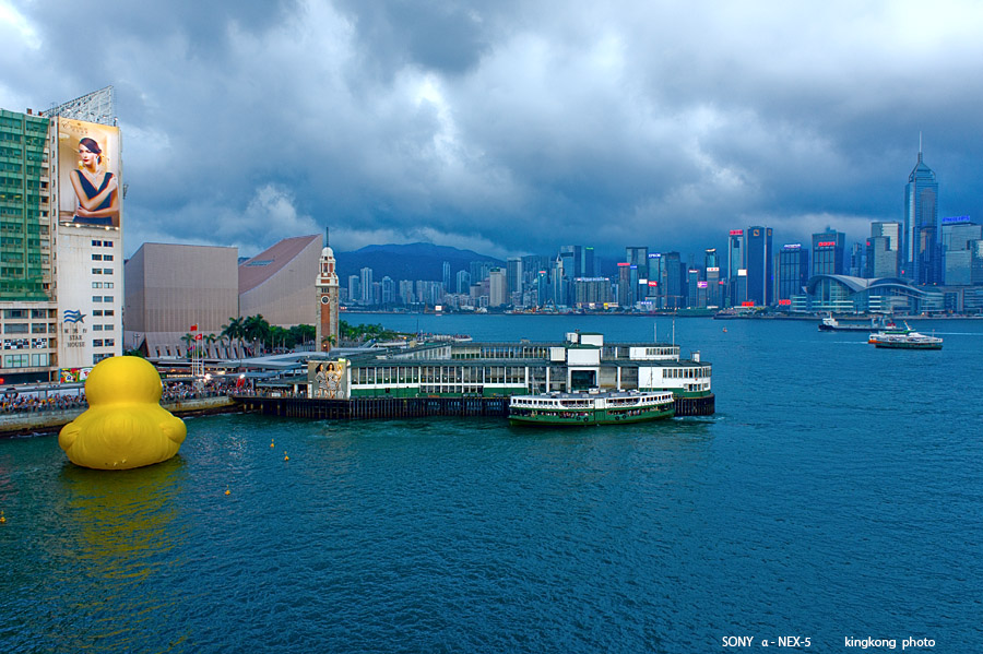 _DSC6347.jpg - SONY DSC