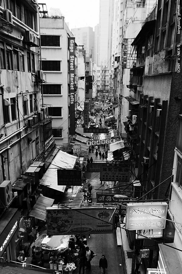 _DSC8177.jpg - SONY DSC