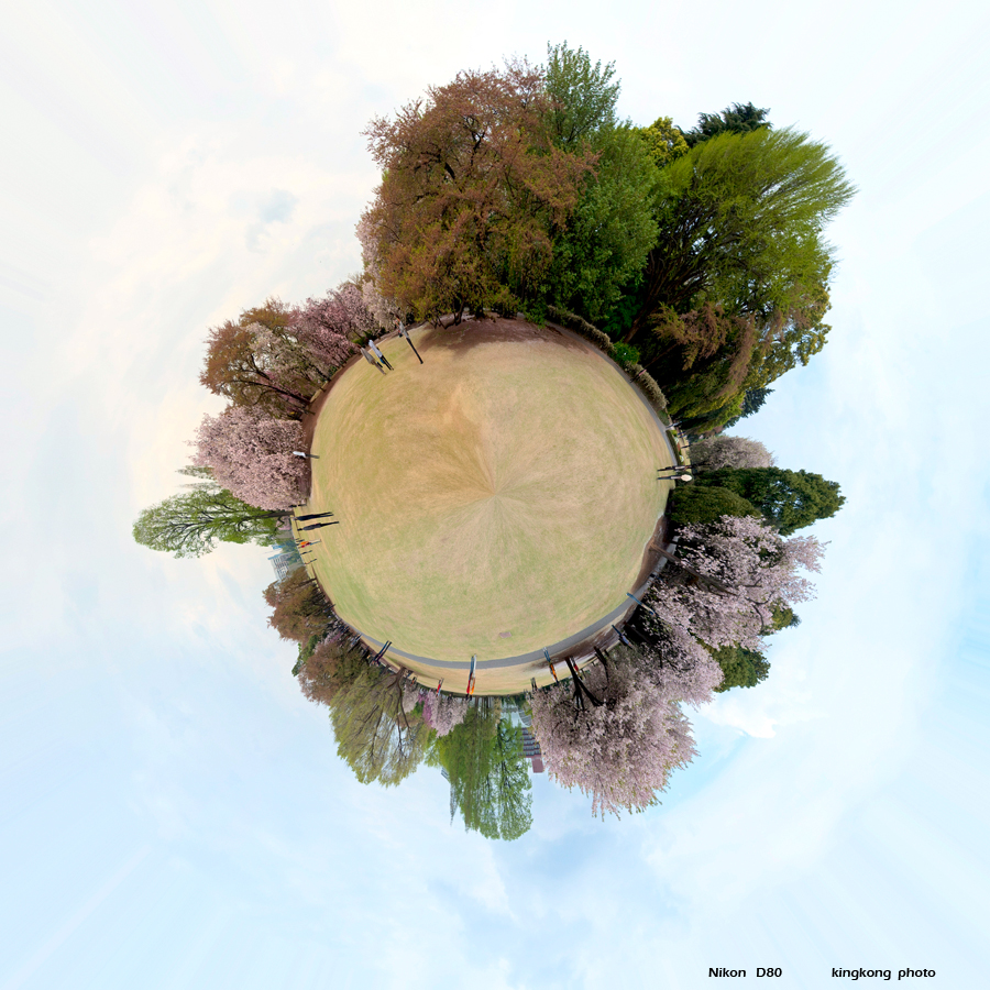 shinjukugyoen3.jpg - 끥뽛ꅟ톂