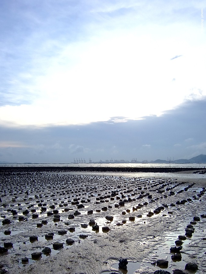 DSCF5614.JPG - 絶