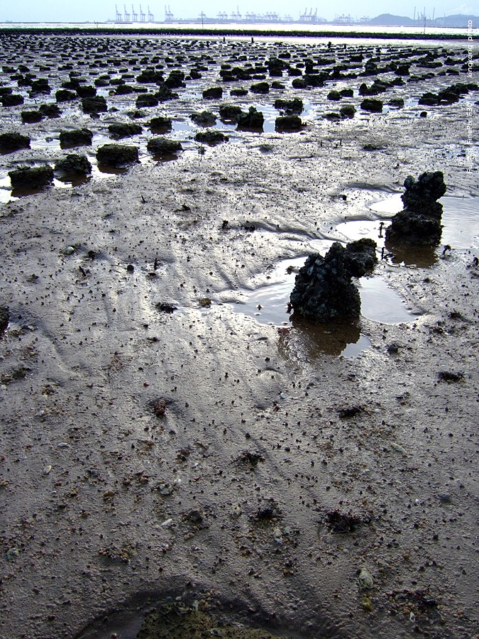 DSCF5617.jpg - 絶