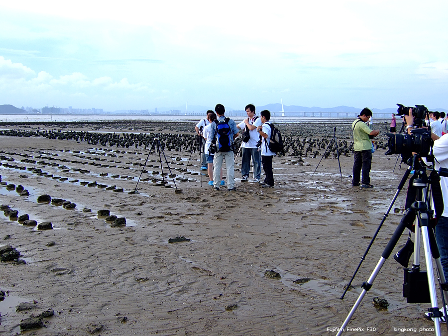 DSCF5620.jpg - 絶